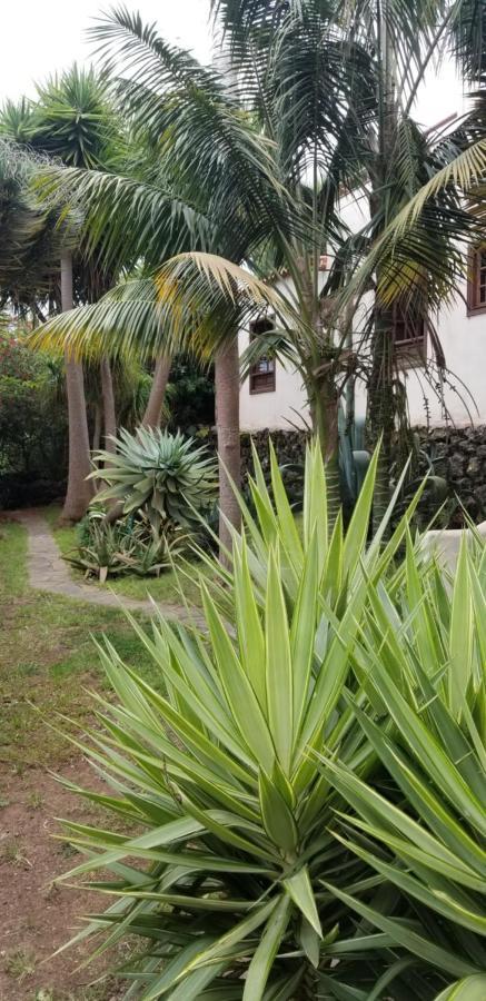 La Casita De La Vega Apartment Icod De Los Vinos Luaran gambar