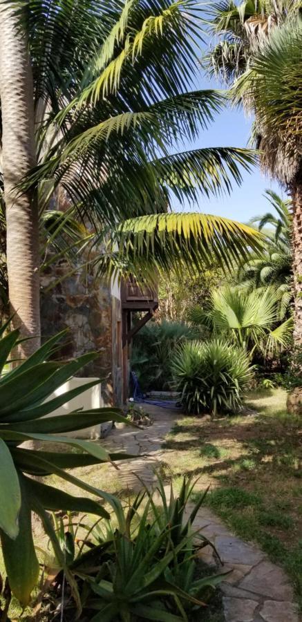 La Casita De La Vega Apartment Icod De Los Vinos Luaran gambar
