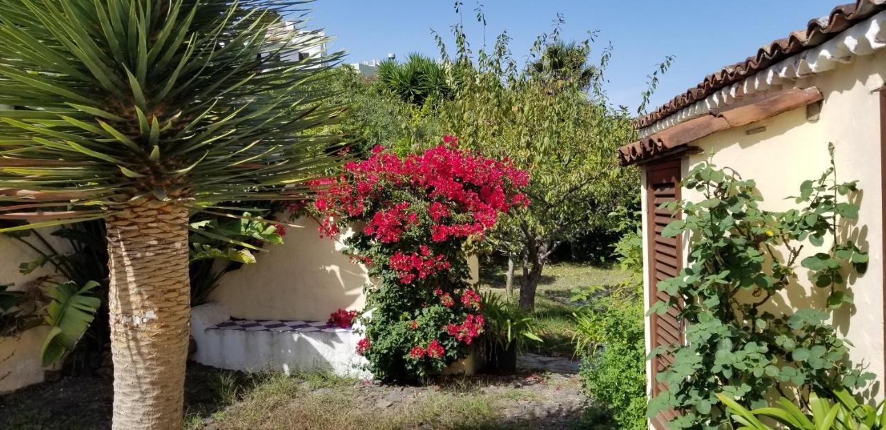 La Casita De La Vega Apartment Icod De Los Vinos Luaran gambar